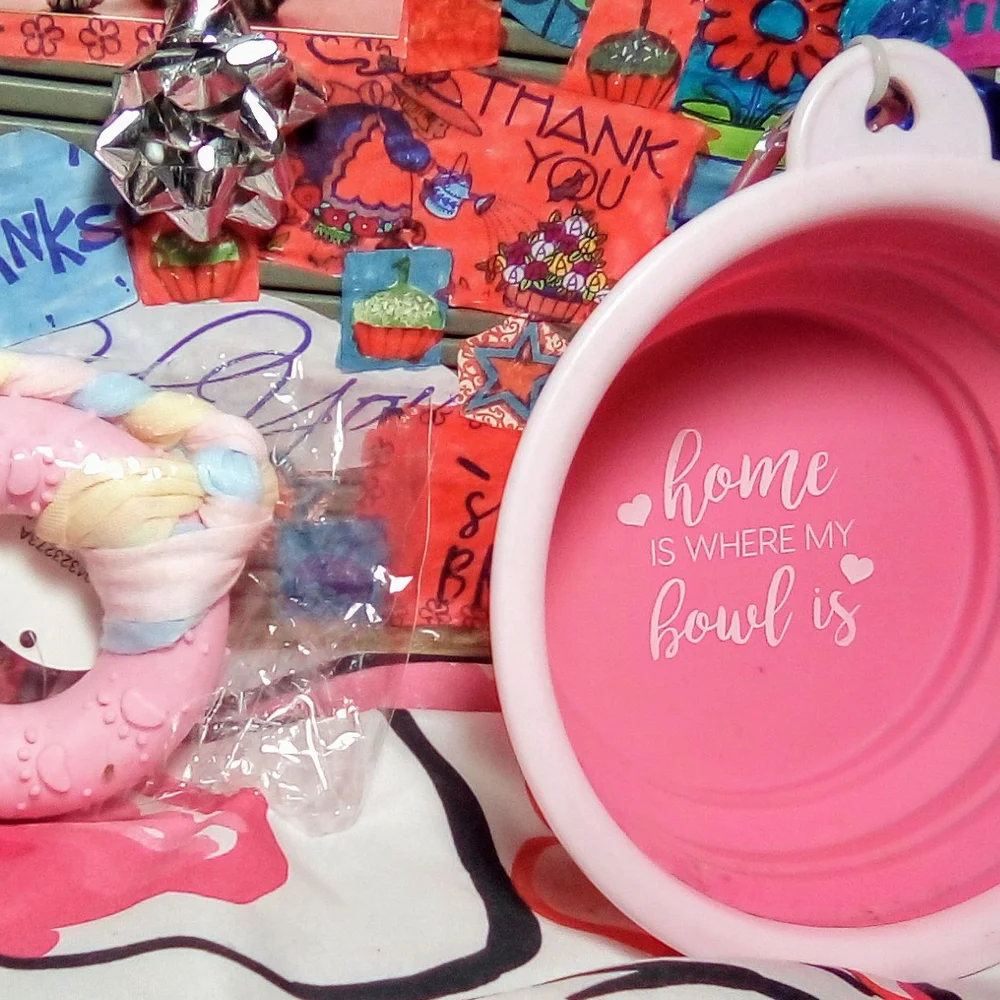 Pink Collapsible Pet Bowl